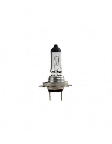 Ampoule H7 24V 70W Px26D